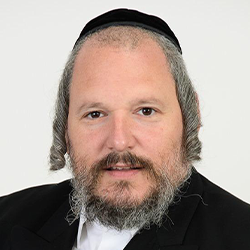 מאיר רובינשטיין
